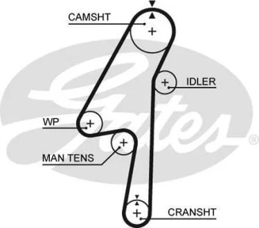 Ремінь ГРМ Gates 5580 XS (фото 1)