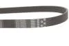 Поліклиновий ремінь Micro-V Gates 6PK1080EST (фото 2)