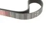 Ремінь поліклін. Gates 6PK1103 (фото 4)