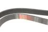 Поліклінові ремені Micro-V Gates 6PK1525 (фото 4)
