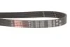 Поліклінові ремені Micro-V Gates 6PK1605 (фото 2)