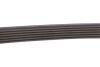 Поліклінові ремені Micro-V Gates 6PK743 (фото 3)