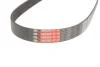 Ремінь поліклін. Gates 6PK905 (фото 3)