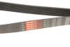Поліклінові ремені Micro-V Gates 7PK1550 (фото 5)
