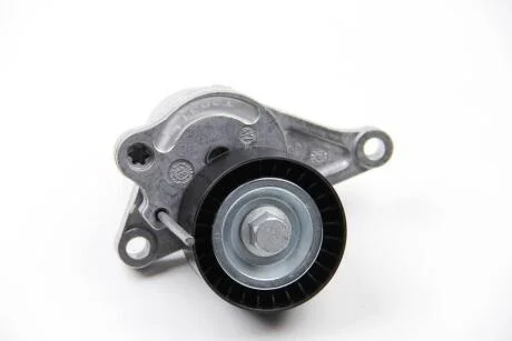 Ролики натягувачі приводу допоміжних агрегатів Gates T38311