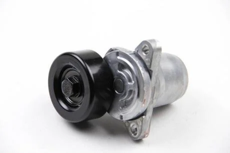 Ролики натягувачі приводу допоміжних агрегатів Gates T38454