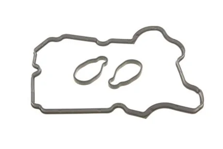 Прокладка кришки клапанів (комплект) GAZO GZ-A2435