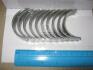 Вкладиші корінні (к-кт) Glyco H1084/5 0.25MM (фото 1)