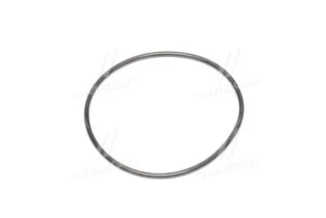 Прокладка помпи Ланос/Авео/Лачетті (кільце) GM 94580509