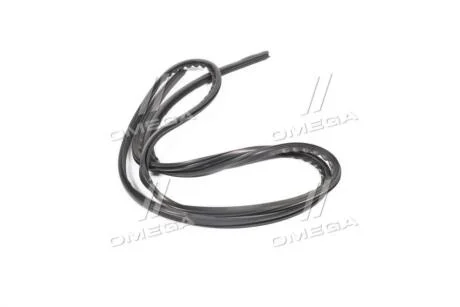 Уплотнитель стекла лобового Авео-T250; GM 96648415