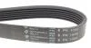 Ремінь поліклиновий 6PK1005 HUTCHINSON 1005K6 (фото 4)