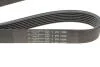 Поликлиновой ремінь Poly V® (1099 K 7) HUTCHINSON 1099K7 (фото 5)