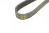 Ремінь поліклиновий 6PK1205 HUTCHINSON 1205K6 (фото 3)