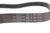 Полікліновий ремень 6PK1270 HUTCHINSON 1270K6 (фото 3)