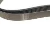 Ремінь генератора (поліклиновий) HUTCHINSON 1718 K 6 (фото 3)