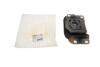 Опора КПП Ford Focus III, Transit Connect 1,0 Eco Boost (12-) HUTCHINSON 538C28 (фото 1)