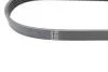Ремінь генератора (поліклиновий) HUTCHINSON 711 SK 5 (фото 3)