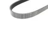 Ремінь генератора (поліклиновий) HUTCHINSON 716 SK 5 (фото 3)