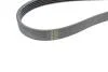 Ремінь генератора (поліклиновий) HUTCHINSON 855 K 5 (фото 3)
