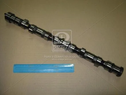 Вал розподільний Tucson (04-10) 2.0d (24100-27402) Mobis Hyundai/Kia/Mobis 2410027402