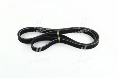 Ремінь привідний KIA Hyundai/Kia/Mobis 252122b000