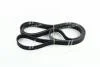 Ремінь привідний KIA Hyundai/Kia/Mobis 252123c100 (фото 3)