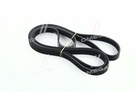 Ремінь привідний KIA Hyundai/Kia/Mobis 252123c100