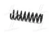 Пружина підвіски задня Carens (06-) (55350-1D300) Mobis Hyundai/Kia/Mobis 553501D300 (фото 3)