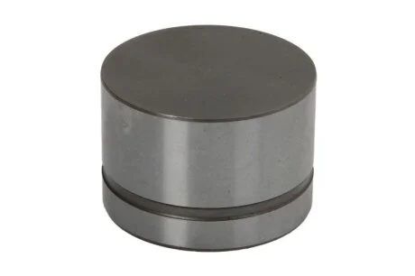 Гідрокомпенсатор INA 420 0042 10