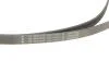 Комплект ременя генератора INA 529 0516 20 (фото 4)