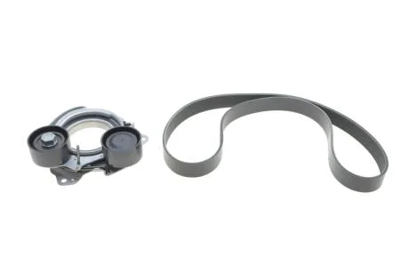 Комплект поліклинових ременів INA 529 0568 10