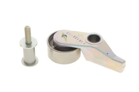 Шків натяжний INA 531 0834 10 (фото 1)