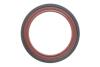 Комплект ланцюга OPEL Z10XE/Z12XE/Z14XEP із шестернями. INA 559 1821 41 (фото 10)