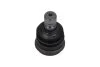 Кульова опора (шарнір) PARTS KAVO SBJ-3017 (фото 3)