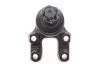 Кульова опора (шарнір) PARTS KAVO SBJ-6502 (фото 4)