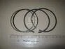 Кільця поршневі PSA 75.0 (1.5/1.5/2.5) TU3 (KS) KOLBENSCHMIDT 800043911000 (фото 1)