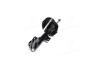 Амортизатор MITSUBISHI/CITROEN/PEUGEOT ASX/C4/4008 &quot;FL &quot;10&gt;&gt; KYB 339254 (фото 4)
