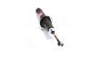 Амортизатор FIAT Freemont &quot;R &quot;11&gt;&gt; KYB 340093 (фото 1)