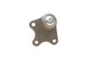 Опора кульова AUDI, SEAT, SKODA, VW передн. вісь (Lemferder) LEMFORDER 25524 02 (фото 2)
