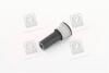 Сайлентблок CITROEN/PEUGEOT C5/407/508 &quot;F &quot;04&gt;&gt; LEMFORDER 33288 01 (фото 3)