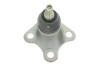 Опора кульова RENAULT DUSTER, CAPTUR 15- перед. міст низ LEMFORDER 42281 01 (фото 4)