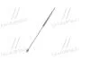 Амортизатор багажника AUDI 100 (кор.код. GS0380) MAGNETI MARELLI 430719038000 (фото 4)