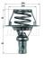 Термостат MAHLE / KNECHT TX 66 91 D (фото 1)