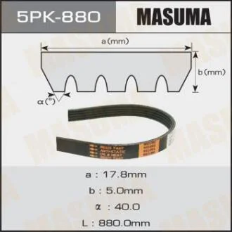 Ремінь поліклінової (5PK-880) MASUMA 5PK880