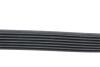 Ремінь генератора (поліклиновий) MERCEDES MERCEDES-BENZ 002993429664 (фото 3)