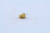 Лампа розжарювання 12v 1,5w Bx8,5d YELLOW NARVA 17050CP (фото 3)