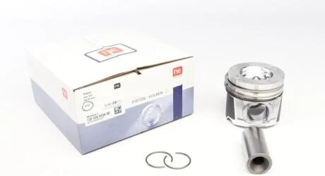 Поршень NPR 130 038 0036 00