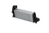 Радіатор інтеркулера NRF 30909 (фото 3)