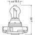 ЛАМПА PSX24W 24W 12V PG20-7 OSRAM 2504 (фото 2)