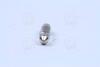 Автолампа C5W 12V 5W 35MM SV8,5-8 OSRAM 6418 (фото 2)